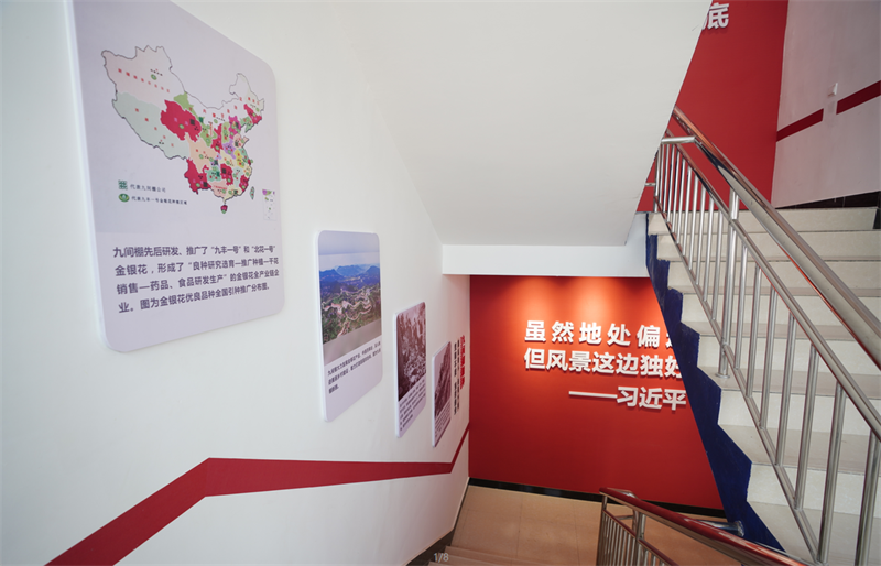 沂蒙精神黨建文化項目